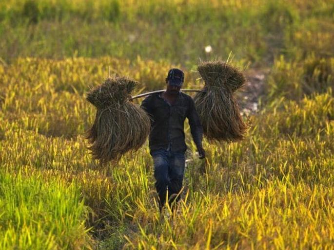 One District One Product Plan Centre offers to aid states | ‘वन डिस्ट्रिक्ट-वन प्रॉडक्ट’ योजनेसाठी केंद्र देणार साह्य One District One Product Plan Centre offers to aid states | ‘वन डिस्ट्रिक्ट-वन प्रॉडक्ट’ योजनेसाठी केंद्र देणार साह्य