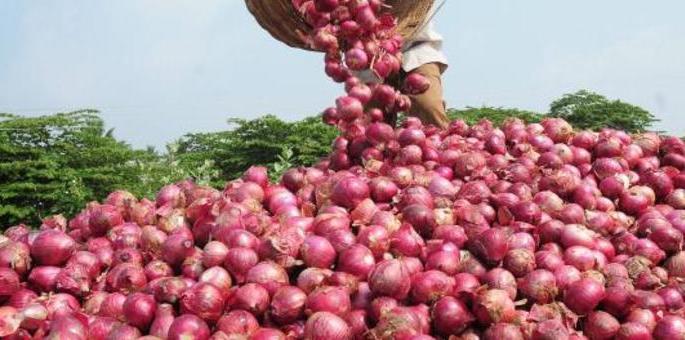 Free the way to subsidy for onion growers | कांदा उत्पादकांच्या अनुदानाचा मार्ग मोकळा