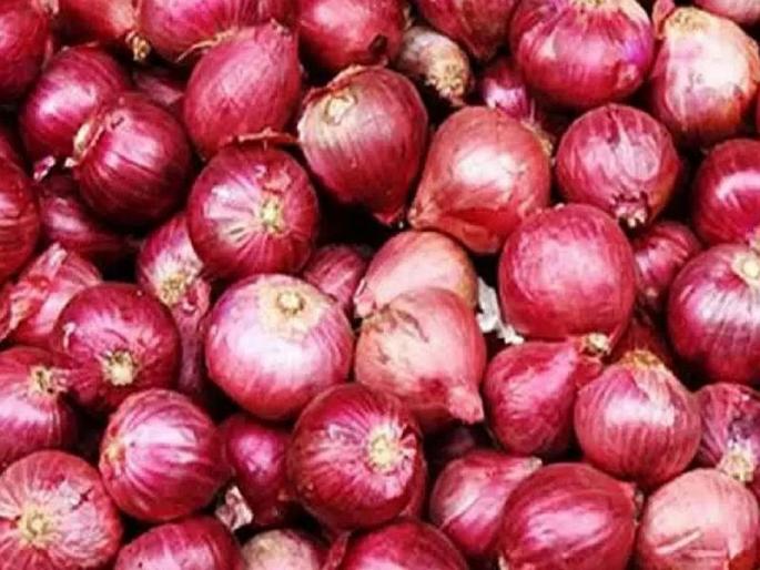 'Loss of timely supply of imported onion' | ‘आयात केलेला कांदा वेळेवर न दिल्याने नुकसान’ 'Loss of timely supply of imported onion' | ‘आयात केलेला कांदा वेळेवर न दिल्याने नुकसान’