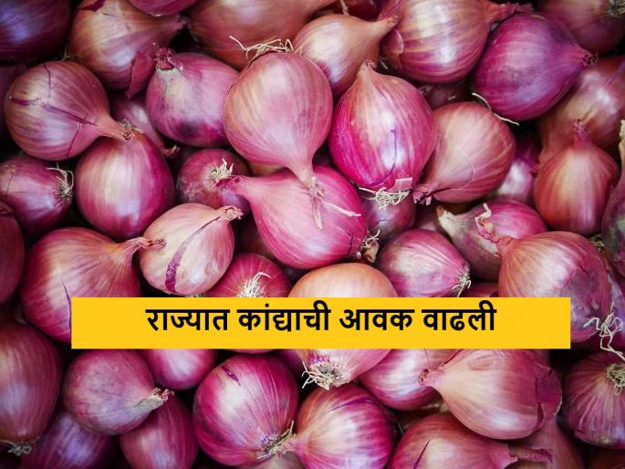 Latest News 15 april 2024 Todays Onion Market In maharashtra market Yards | Onion Market : लाल-उन्हाळ कांद्याची आवक वाढली, आज कुठे-काय भाव मिळाला? Latest News 15 april 2024 Todays Onion Market In maharashtra market Yards | Onion Market : लाल-उन्हाळ कांद्याची आवक वाढली, आज कुठे-काय भाव मिळाला?