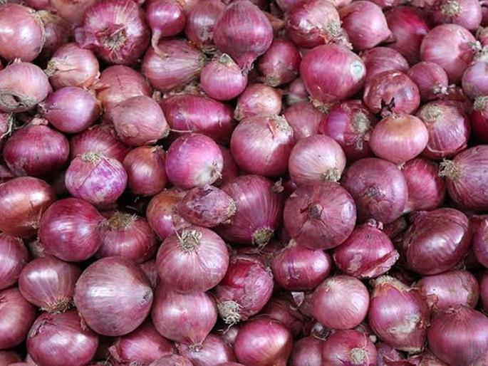 Thousands of tonnes of onion will be imported by the end of the month | महिनाअखेरपर्यंत हजार टन कांदा आयात होणार Thousands of tonnes of onion will be imported by the end of the month | महिनाअखेरपर्यंत हजार टन कांदा आयात होणार