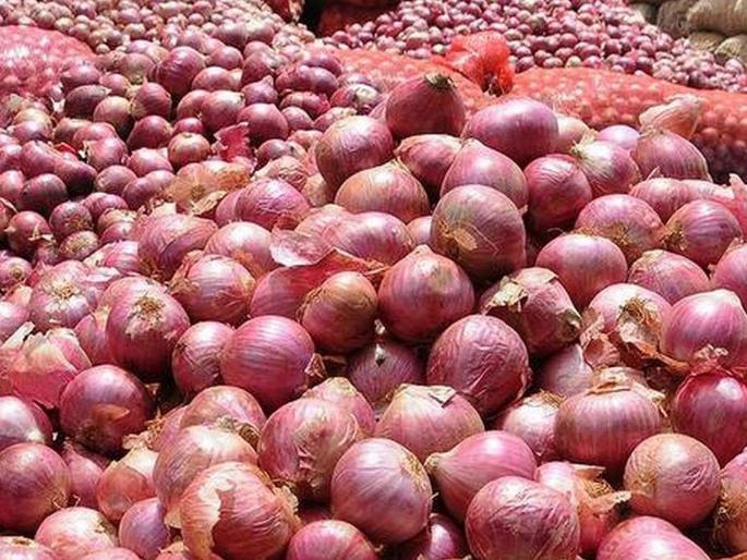 Significant increase in onion rates in Mumbai due to declining supply | कांदा रडवणार! आवक घटल्याने मुंबईत दरामध्ये लक्षणीय वाढ Significant increase in onion rates in Mumbai due to declining supply | कांदा रडवणार! आवक घटल्याने मुंबईत दरामध्ये लक्षणीय वाढ