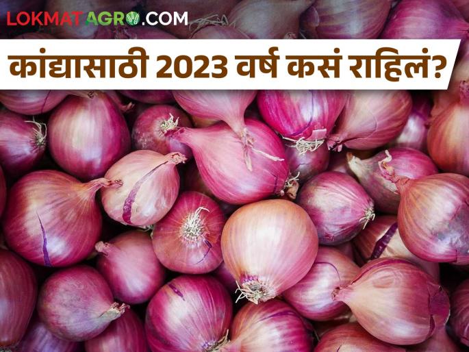 #Flashback 2023 : How will 2023 be for onions? | #Flashback 2023 : कांद्यासाठी 2023 वर्ष कसं राहिलं?  #Flashback 2023 : How will 2023 be for onions? | #Flashback 2023 : कांद्यासाठी 2023 वर्ष कसं राहिलं?