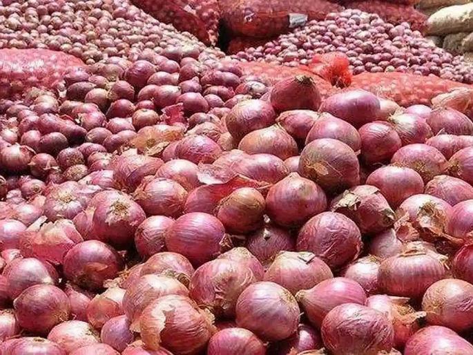 Onion became expensive before Diwali, the government took a big step to control the price | दिवाळीपूर्वी कांदा महागला, भाव नियंत्रणात आणण्यासाठी सरकारनं उचललं मोठं पाऊल Onion became expensive before Diwali, the government took a big step to control the price | दिवाळीपूर्वी कांदा महागला, भाव नियंत्रणात आणण्यासाठी सरकारनं उचललं मोठं पाऊल