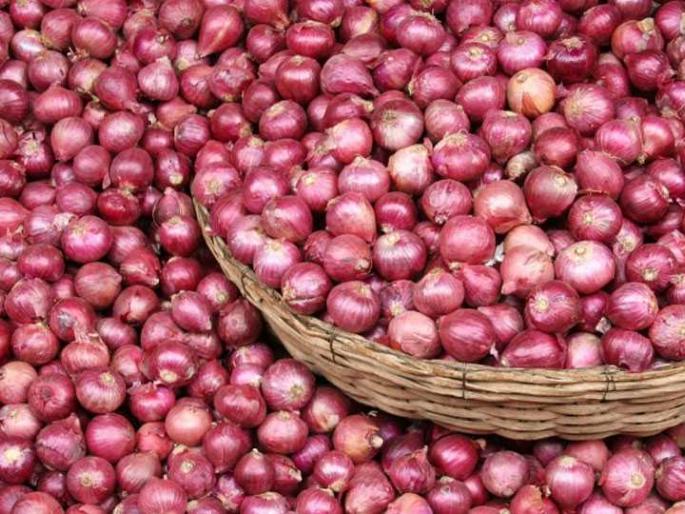 Kolhapur Bazar Samiti has a high rate of Rs. 5 per quintal for onion | कोल्हापूर बाजार समितीत कांद्याची उसळी, क्विंटलला ४६०० रुपये उच्चांकी दर Kolhapur Bazar Samiti has a high rate of Rs. 5 per quintal for onion | कोल्हापूर बाजार समितीत कांद्याची उसळी, क्विंटलला ४६०० रुपये उच्चांकी दर