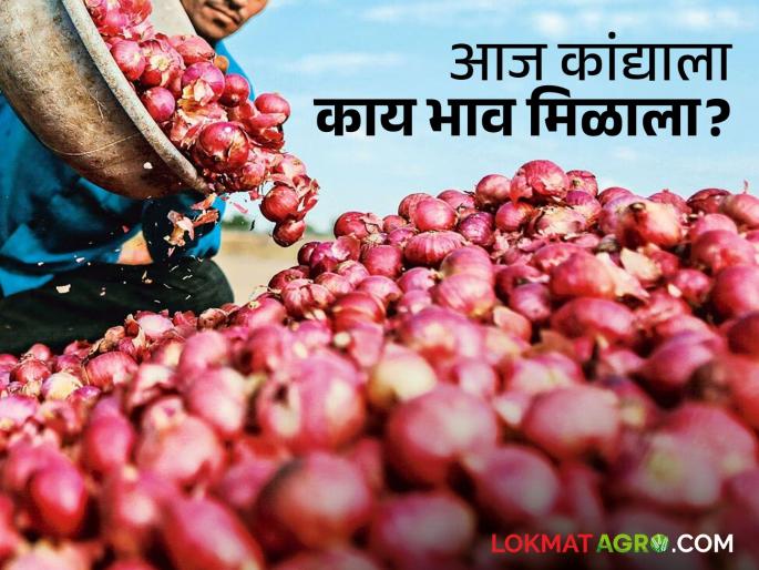 Latest news todays summer onion market price in junnar otur market yards is highest | Onion Market : जुन्नर ओतूर बाजार उन्हाळ कांद्याला सर्वाधिक भाव, वाचा आजचे बाजारभाव? 