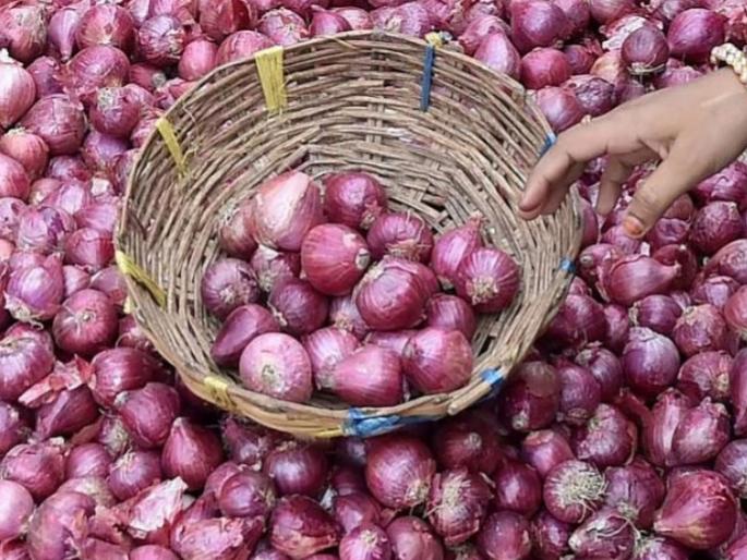 Onion export fall...! The center's policy came to a standstill; Countries like Bangladesh, Saudi Arabia turned their backs | कांदा निर्यात धडाम...! केंद्राचे धोरण आड आले;  बांगलादेश, सौदी अरब सारख्या देशांनी फिरवली पाठ