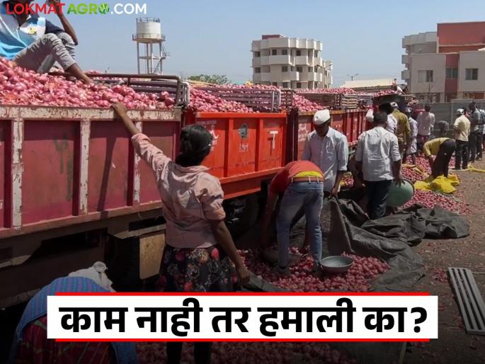 Will onion farmers get justice? Farmers union to protest in Srirampur today | कांदा उत्पादक शेतकऱ्यांना मिळणार न्याय? शेतकरी संघटनेतर्फे श्रीरामपूरात आज आंदोलन