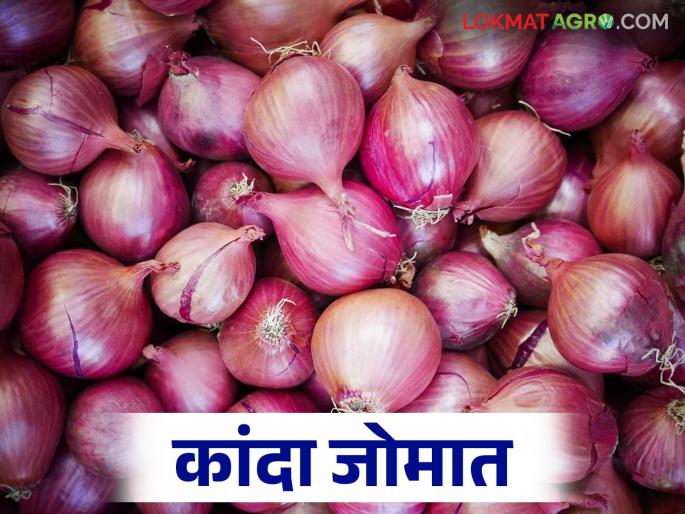 Kanda Bajar Bhav : Onion market reopens after being closed for many years; Onions are fetching high prices | Kanda Bajar Bhav : अनेक वर्ष बंद पडलेले कांदा मार्केट पुन्हा सुरु; कांद्याला मिळतोय जोरदार दर Kanda Bajar Bhav : Onion market reopens after being closed for many years; Onions are fetching high prices | Kanda Bajar Bhav : अनेक वर्ष बंद पडलेले कांदा मार्केट पुन्हा सुरु; कांद्याला मिळतोय जोरदार दर
