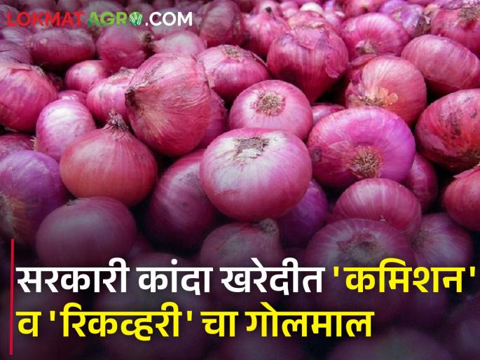 Well done to the officials of 'NAFED, NCCF' | सरकारी कांदा खरेदीत 'एफपीओ, एफपीसी' मालामाल; 'नाफेड, एनसीसीएफ'च्या अधिकाऱ्यांचेही चांगभलं Well done to the officials of 'NAFED, NCCF' | सरकारी कांदा खरेदीत 'एफपीओ, एफपीसी' मालामाल; 'नाफेड, एनसीसीएफ'च्या अधिकाऱ्यांचेही चांगभलं