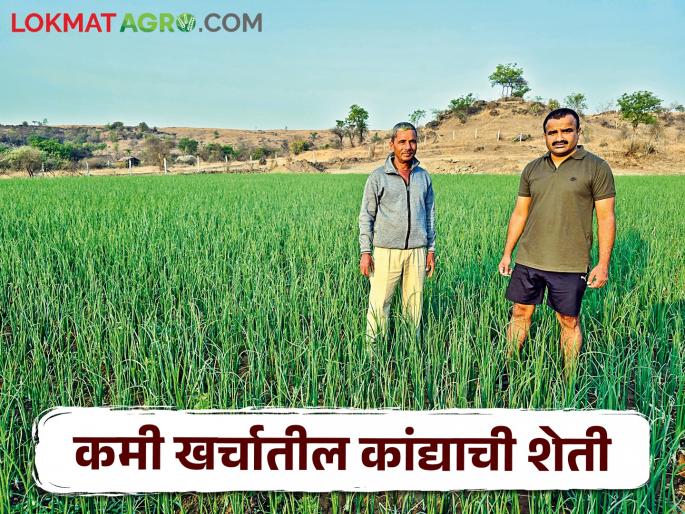 Farming done by Balasaheb to reduce production cost of onion crop | कांदा पिकातील उत्पादन खर्च कमी करण्यासाठी बाळासाहेबांनी केली अशी शेती Farming done by Balasaheb to reduce production cost of onion crop | कांदा पिकातील उत्पादन खर्च कमी करण्यासाठी बाळासाहेबांनी केली अशी शेती