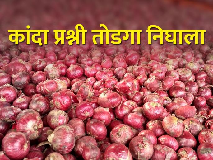 Central government approves purchase of additional two lakh tonnes of onion | अतिरिक्त दोन लाख टन कांदा खरेदीसाठी केंद्र सरकारची मंजूरी Central government approves purchase of additional two lakh tonnes of onion | अतिरिक्त दोन लाख टन कांदा खरेदीसाठी केंद्र सरकारची मंजूरी