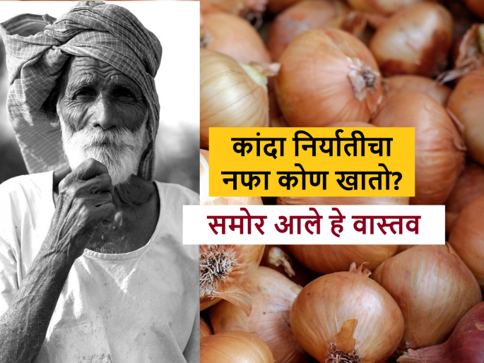 why onion farmers are getting low price even after Onion export decision, Know the fact | कांदा निर्यातीची बोली लागली २९ रुपयांची, शेतकऱ्यांना मिळतात १२ रुपये why onion farmers are getting low price even after Onion export decision, Know the fact | कांदा निर्यातीची बोली लागली २९ रुपयांची, शेतकऱ्यांना मिळतात १२ रुपये