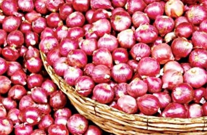 Onion prices fall after export ban | निर्यातबंदीनंतर कांद्याच्या किमतीत घसरण