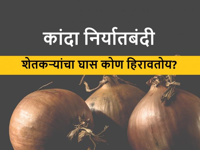 dose Agriculture officials of Nashik responsible for onion export ban? | कांदा निर्यातबंदीसाठी नाशिकचे कृषी अधिकारी व यंत्रणा कारणीभूत? dose Agriculture officials of Nashik responsible for onion export ban? | कांदा निर्यातबंदीसाठी नाशिकचे कृषी अधिकारी व यंत्रणा कारणीभूत?