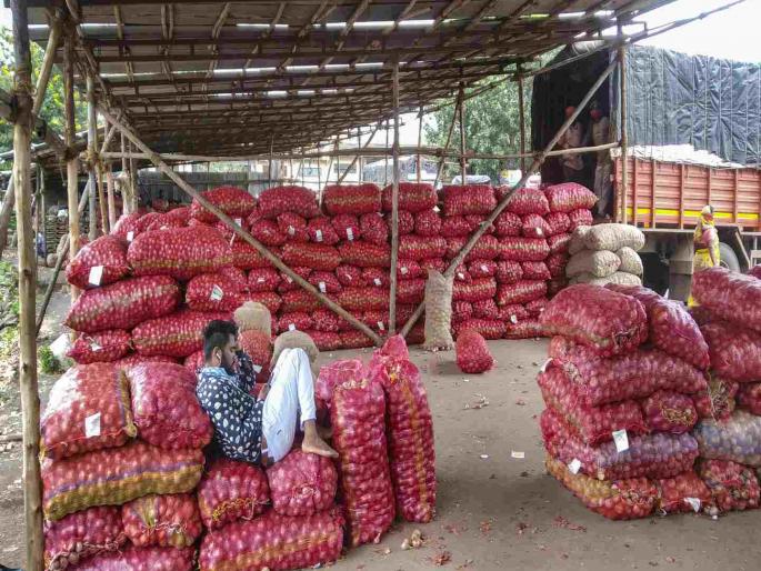 Onion brings tears to farmers eyes again demand removal of 20 percent export duty | कांद्याने शेतकऱ्यांच्या डोळ्यात पुन्हा पाणी, १० दिवसांत भाव निम्म्यावर