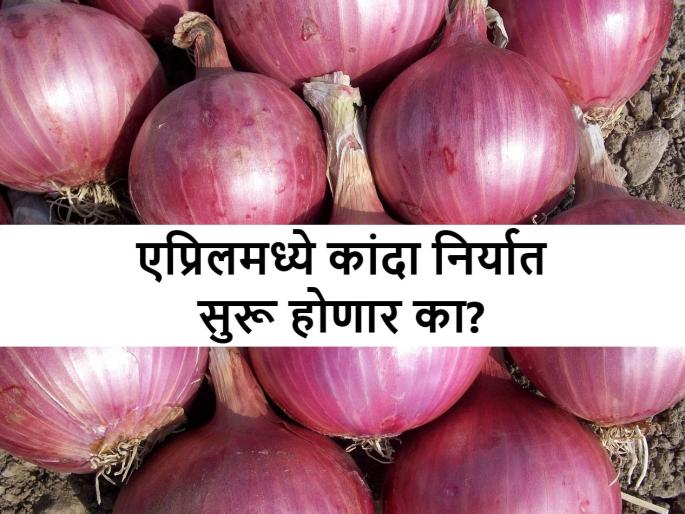 Egypt and Pakistan will open onion export soon will affect rabi onion rates in Maharashtra, Nashik, Lasalgaon | इजिप्त आणि पाकिस्तानचा कांदा भारताच्या कांदा शेतकऱ्यांना रडवणार? Egypt and Pakistan will open onion export soon will affect rabi onion rates in Maharashtra, Nashik, Lasalgaon | इजिप्त आणि पाकिस्तानचा कांदा भारताच्या कांदा शेतकऱ्यांना रडवणार?