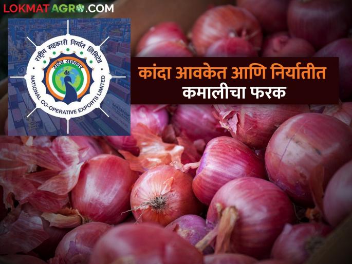 Latest News Onion arrival 1.25 lakh quintal; Exports are only 50 thousand tons | Onion Issue : एकट्या नाशिक जिल्ह्यात रोज कांदा आवक सव्वा लाख क्विंटल, मग निर्यात केवळ 50 हजार टनचं का? 