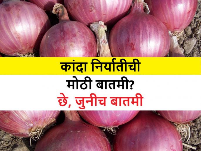 Not a braking news_Centre's promotion of old onion export decision in wake of elections | मोठी नव्हे जुनीच बातमी: निवडणुकीच्या पार्श्वभूमीवर ९९ हजार १५० मे. टन कांदा निर्यातीच्या जुन्याच निर्णयाचा केंद्राकडून प्रचार? Not a braking news_Centre's promotion of old onion export decision in wake of elections | मोठी नव्हे जुनीच बातमी: निवडणुकीच्या पार्श्वभूमीवर ९९ हजार १५० मे. टन कांदा निर्यातीच्या जुन्याच निर्णयाचा केंद्राकडून प्रचार?