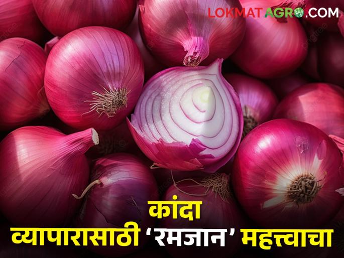 Latest News Pakistan will grab India's onion consumer country, smuggling will increase due to export ban | Onion Issue : पाकिस्तान बळकावणार भारताचे कांदा ग्राहक देश, निर्यातबंदीमुळे तस्करी वाढणार Latest News Pakistan will grab India's onion consumer country, smuggling will increase due to export ban | Onion Issue : पाकिस्तान बळकावणार भारताचे कांदा ग्राहक देश, निर्यातबंदीमुळे तस्करी वाढणार