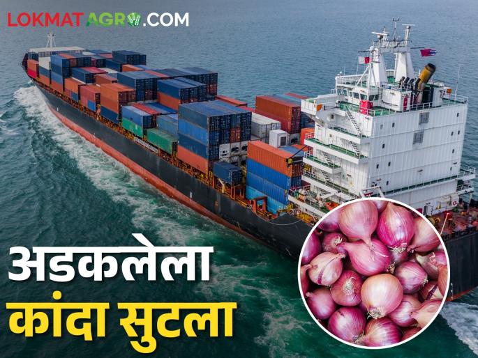 Onion Export 7000 tons of goods in 250 containers were sent abroad | Onion Export २५० कंटेनरमधील ७ हजार टन माल विदेशामध्ये झाला रवाना Onion Export 7000 tons of goods in 250 containers were sent abroad | Onion Export २५० कंटेनरमधील ७ हजार टन माल विदेशामध्ये झाला रवाना