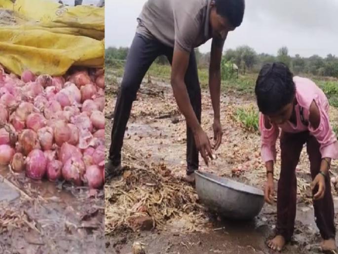 MLA Milind Narvekar helps onion farmer daughter | कांदा उत्पादकाच्या मुलीला आ. नार्वेकर यांची मदत MLA Milind Narvekar helps onion farmer daughter | कांदा उत्पादकाच्या मुलीला आ. नार्वेकर यांची मदत