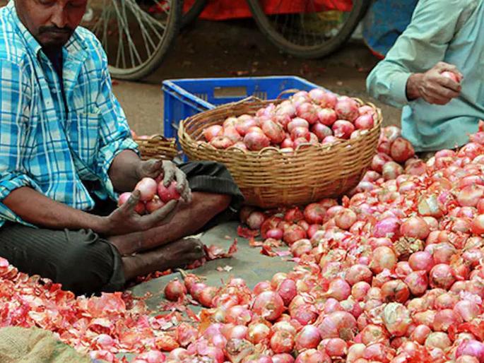 Half of onion producers ineligible for insurance; State government saved Rs 70 crore | निम्मे कांदा उत्पादक विम्यासाठी ठरले अपात्र; राज्य सरकारचे वाचले ७० काेटी रुपये Half of onion producers ineligible for insurance; State government saved Rs 70 crore | निम्मे कांदा उत्पादक विम्यासाठी ठरले अपात्र; राज्य सरकारचे वाचले ७० काेटी रुपये
