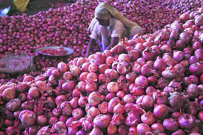 Government withdraws decision on import of onion from Pakistan | पाकमधून कांदा आयातीच्या निर्णयावर सरकारची माघार Government withdraws decision on import of onion from Pakistan | पाकमधून कांदा आयातीच्या निर्णयावर सरकारची माघार