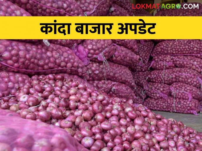 Kanda Bajarbhav : What is the average price of onion in Ghodegaon market committee? | Kanda Bajarbhav : घोडेगाव बाजार समितीत कांद्याला सरासरी मिळाला किती भाव Kanda Bajarbhav : What is the average price of onion in Ghodegaon market committee? | Kanda Bajarbhav : घोडेगाव बाजार समितीत कांद्याला सरासरी मिळाला किती भाव