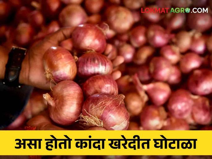 Latest News Nafed and NCCF onion procurement scam, inquiry letter to Central Committee | Nafed Onion Issue : नाफेड व एनसीसीएफच्या कांदा खरेदीत घोटाळा, केंद्रीय समितीला चौकशीचे पत्र Latest News Nafed and NCCF onion procurement scam, inquiry letter to Central Committee | Nafed Onion Issue : नाफेड व एनसीसीएफच्या कांदा खरेदीत घोटाळा, केंद्रीय समितीला चौकशीचे पत्र
