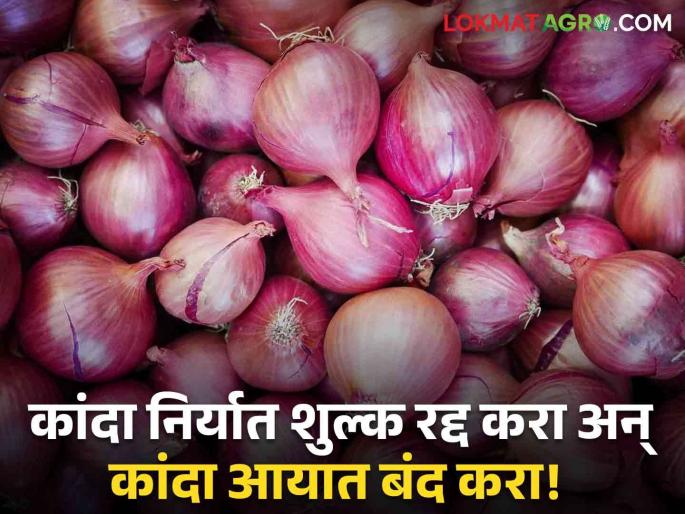 Latest News Cancel onion export duty and stop onion import Demand of Farmers Union  | Onion Issue : कांदा निर्यात शुल्क रद्द करा अन् कांदा आयात बंद करा! शेतकरी संघटनेची मागणी  Latest News Cancel onion export duty and stop onion import Demand of Farmers Union  | Onion Issue : कांदा निर्यात शुल्क रद्द करा अन् कांदा आयात बंद करा! शेतकरी संघटनेची मागणी