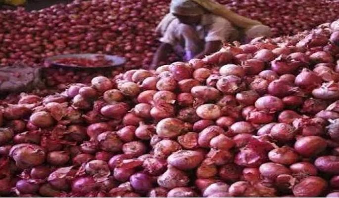 Onion is expensive in Nagpur! Crop damaged by rain | नागपुरात कांद्याची फोडणी महाग! पावसामुळे पीक खराब