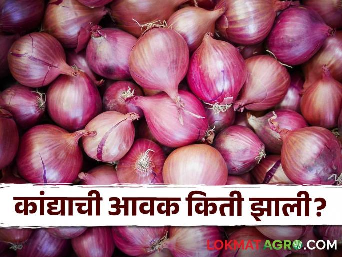 Latest News Todays Kanda bajarbhav Nashik, Solapur, Ahmednagar districts check here onion market | Kanda Market : नाशिक, सोलापूर, अहमदनगर जिल्ह्यात कांद्याची सर्वाधिक आवक, वाचा भाव काय मिळाला?