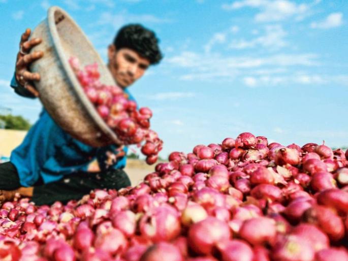 The government has finally shown its readiness for discussion as the opposition has raised farmers' issues for the first two days in the session | अधिवेशनातील आजच्या चर्चेकडे शेतकऱ्यांचे डोळे; पदरी काय पडणार, याकडे लक्ष The government has finally shown its readiness for discussion as the opposition has raised farmers' issues for the first two days in the session | अधिवेशनातील आजच्या चर्चेकडे शेतकऱ्यांचे डोळे; पदरी काय पडणार, याकडे लक्ष