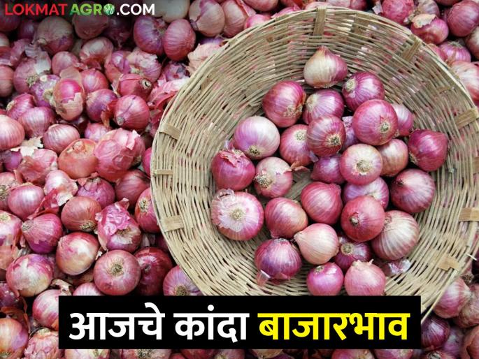 Latest News Todays Onion Market price in nashik with maharashtra | Onion Market : लाल, उन्हाळ कांद्याला कुठे काय बाजारभाव मिळाला, आजचे सविस्तर दर ? 