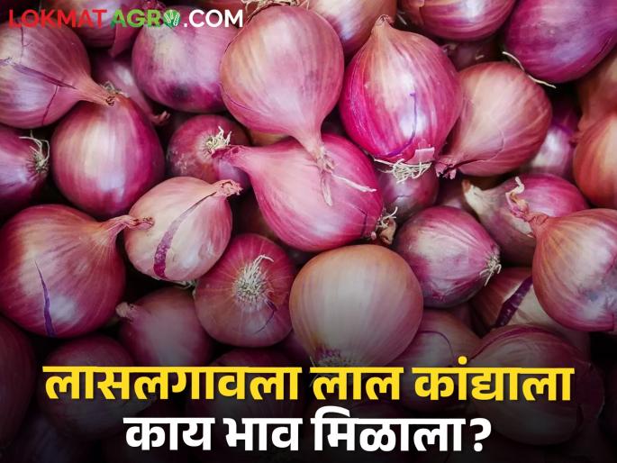Latest News 18 march Todays Onion Market price in nashik and maharashtra | Onion Market : लासलगाव बाजार समितीत उन्हाळ कांद्याला काय बाजारभाव मिळाला? आजचे सविस्तर दर Latest News 18 march Todays Onion Market price in nashik and maharashtra | Onion Market : लासलगाव बाजार समितीत उन्हाळ कांद्याला काय बाजारभाव मिळाला? आजचे सविस्तर दर