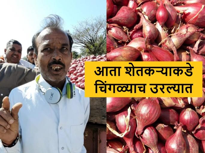 onion export ban controversy had made onion farmer cry | चिंगळ्या कांद्याला मोठ्यापेक्षा जास्त भाव मिळाला, तरी हरीभाऊ का रडले? onion export ban controversy had made onion farmer cry | चिंगळ्या कांद्याला मोठ्यापेक्षा जास्त भाव मिळाला, तरी हरीभाऊ का रडले?