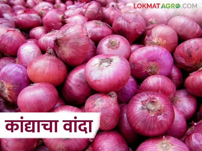 Kanda Bajar Bhav : Big up and down in the onion market in the last ten days; How have the prices been? | Kanda Bajar Bhav : मागील दहा दिवसात कांदा बाजारात मोठी उलथापालथ; कसे राहिले दर?