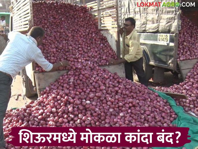 latest news Onion Market: Obstacles in onion sales; Ban on open onions in Shiur Market Read in detail | Onion Market : कांदा विक्रीत अडथळा; शिऊर बाजारात मोकळ्या कांद्यावर बंदी वाचा सविस्तर