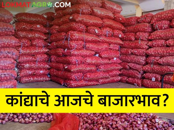 latest News Live Update On Onion Market todays In Nashik All over Maharashtra market yard | पीएम मोदींच्या दौऱ्याच्या पूर्वसंध्येला नाशिकमध्ये कांद्याला काय भाव मिळाला?