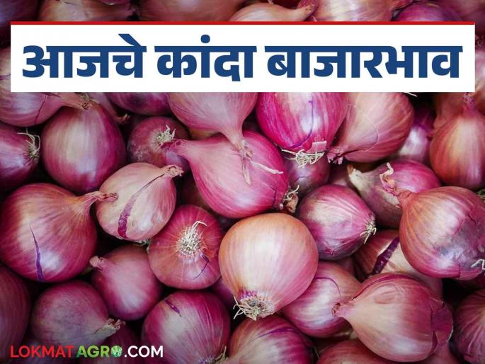 Onion Bazaar Bhav : Arrival of red onion increased in Solapur market; Read in detail how the price was obtained | Onion Bajar Bhav : सोलापूर बाजारात लाल कांद्याची आवक वाढली; कसा मिळाला दर वाचा सविस्तर Onion Bazaar Bhav : Arrival of red onion increased in Solapur market; Read in detail how the price was obtained | Onion Bajar Bhav : सोलापूर बाजारात लाल कांद्याची आवक वाढली; कसा मिळाला दर वाचा सविस्तर