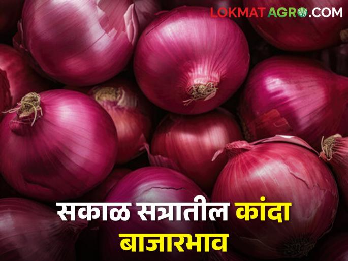 latest News 15 march Todays onion morning market price in maharashtra bajar samiti | लालसह उन्हाळ कांद्याच्या दरात घसरण, सकाळी बाजारभाव काय मिळाला? 