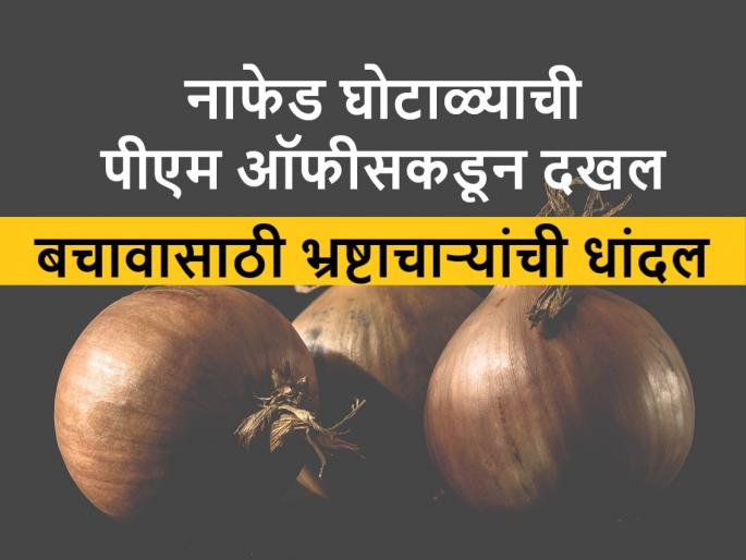 Nafed Scam: Nafed Onion Scam PM Office Takes notice, Vigilance Team of Gujarat Officials Entered Nashik | Nafed onion Scam: नाफेड कांदा घोटाळ्याची पीएमओने घेतली दखल, गुजरातच्या अधिकाऱ्यांचे दक्षता पथक नाशकात दाखल Nafed Scam: Nafed Onion Scam PM Office Takes notice, Vigilance Team of Gujarat Officials Entered Nashik | Nafed onion Scam: नाफेड कांदा घोटाळ्याची पीएमओने घेतली दखल, गुजरातच्या अधिकाऱ्यांचे दक्षता पथक नाशकात दाखल