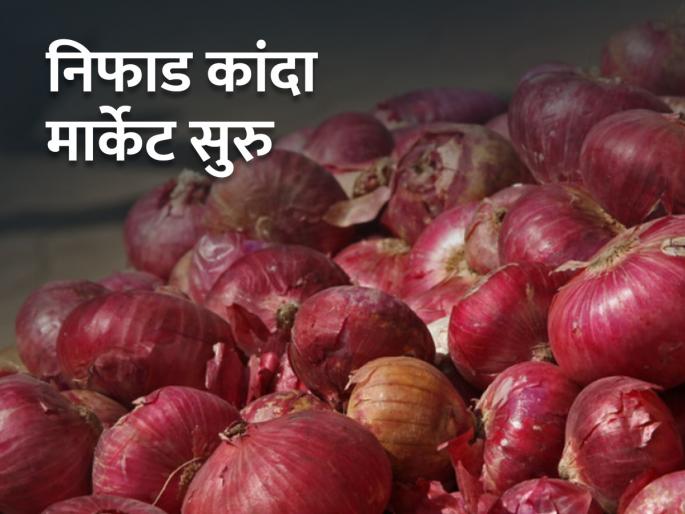Onion auction starts from today in Niphad | विंचूर निफाडचे कांदा लिलाव सुरू; जाणून घ्या आजचे कांदा बाजारभाव