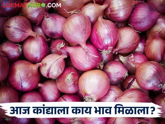 Latest News Todays Onion Market price in lasalgaon market yard check here | Onion Bajarbhav : लासलगाव बाजारात उन्हाळ कांदा घसरला, वाचा आजचे सविस्तर बाजारभाव Latest News Todays Onion Market price in lasalgaon market yard check here | Onion Bajarbhav : लासलगाव बाजारात उन्हाळ कांदा घसरला, वाचा आजचे सविस्तर बाजारभाव