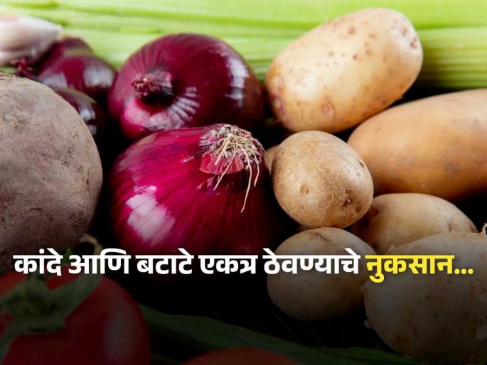 Side effects of onion and potato kept together | बटाटे आणि कांदे एकत्र ठेवाल तर पडू शकतं महागात, पाहा दोन्ही एकत्र ठेवल्यानं काय होतं नुकसान Side effects of onion and potato kept together | बटाटे आणि कांदे एकत्र ठेवाल तर पडू शकतं महागात, पाहा दोन्ही एकत्र ठेवल्यानं काय होतं नुकसान