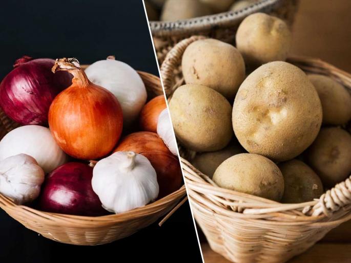 Onion - Potato will last longer - Don't make these mistakes while storing garlic, foods gets spoil because .... | कांदाबटाट्यांना कोंब फुटतात, लवकर सडतात? ३ गोष्टी करा- कांदेबटाटे जास्त विकत आणले तरी नो टेंशन Onion - Potato will last longer - Don't make these mistakes while storing garlic, foods gets spoil because .... | कांदाबटाट्यांना कोंब फुटतात, लवकर सडतात? ३ गोष्टी करा- कांदेबटाटे जास्त विकत आणले तरी नो टेंशन