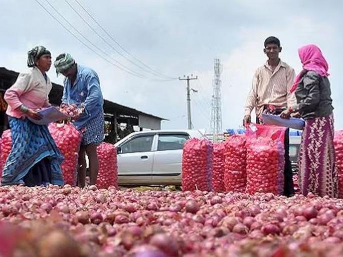 To check the rising price of onion, the central government has banned the export of onion, farmers are angry | कांद्याची भाववाढ रोखण्यासाठी केंद्र सरकारनं उचललं मोठं पाऊल, उत्पादक शेतकरी संतप्त To check the rising price of onion, the central government has banned the export of onion, farmers are angry | कांद्याची भाववाढ रोखण्यासाठी केंद्र सरकारनं उचललं मोठं पाऊल, उत्पादक शेतकरी संतप्त