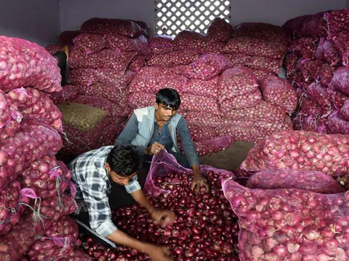 Now the onion will reach a hundred! will make common people cry; The new onion will arrive at the end of November | आता कांदाही गाठणार शंभरी! सामान्यांना रडवणार; नवीन कांदा नोव्हेंबरअखेरीस येणार Now the onion will reach a hundred! will make common people cry; The new onion will arrive at the end of November | आता कांदाही गाठणार शंभरी! सामान्यांना रडवणार; नवीन कांदा नोव्हेंबरअखेरीस येणार