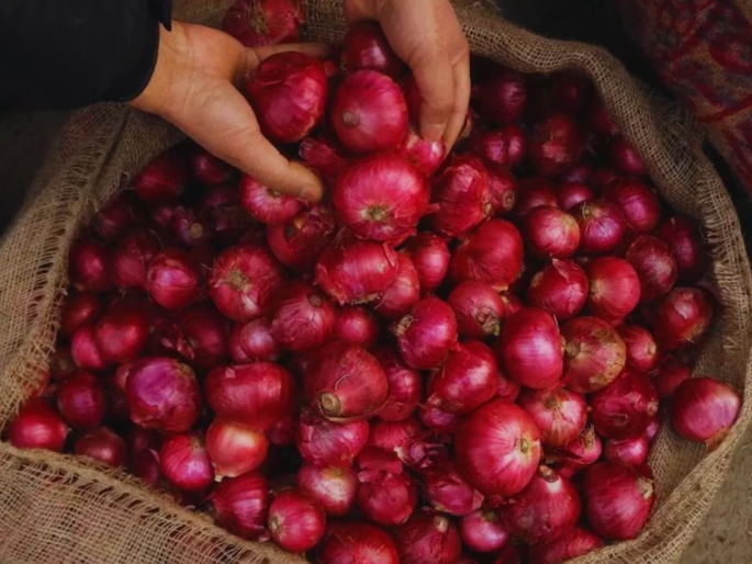 An important issue again in the assembly elections; Due to onions, farmers in villages and consumers in cities are fed up | विधानसभा निवडणुकीत पुन्हा महत्त्वाचा मुद्दा; कांद्यामुळे गावाकडे शेतकरी तर शहरात ग्राहक बेजार An important issue again in the assembly elections; Due to onions, farmers in villages and consumers in cities are fed up | विधानसभा निवडणुकीत पुन्हा महत्त्वाचा मुद्दा; कांद्यामुळे गावाकडे शेतकरी तर शहरात ग्राहक बेजार